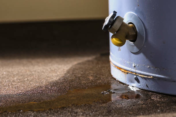 Best Flood restoration services  in Redby, MN
