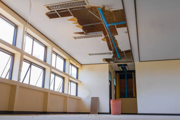 Best Water damage mitigation services  in Redby, MN