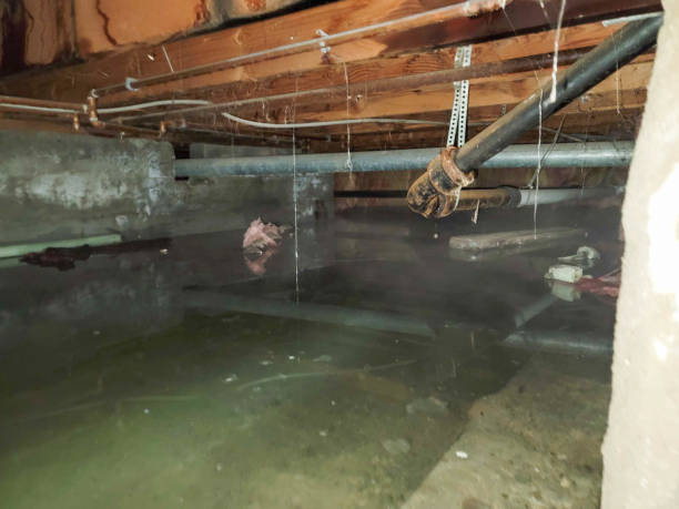 Best Ceiling water damage repair  in Redby, MN