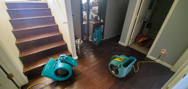 Professional Water damage restoration in Redby, MN