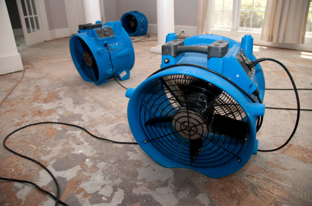 Professional Water damage restoration in Redby, MN