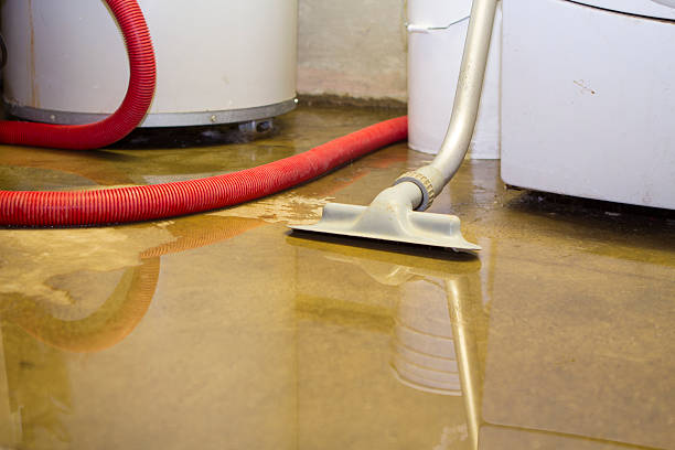 Sewage cleanup and water damage restoration in Redby, MN