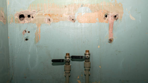 Best Carpet water damage restoration  in Redby, MN