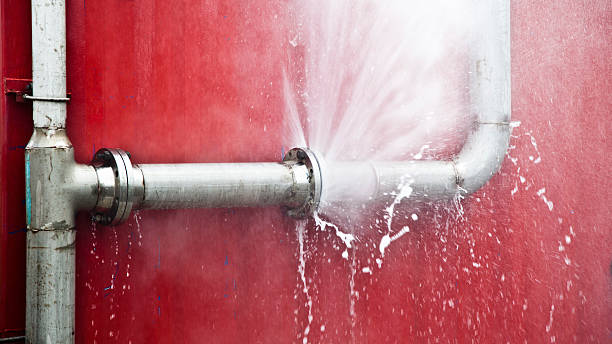 Best Flood damage cleanup  in Redby, MN
